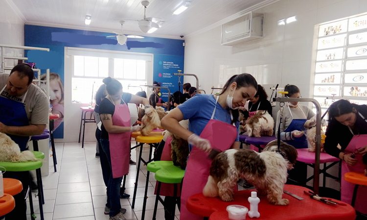 Atendente de Pet Shop, Lider de Almoxarifado, Almoxarife - 5 vagas - rio de janeiro