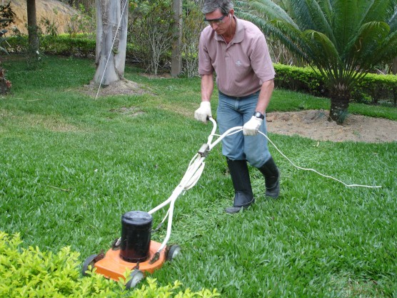 Auxiliar de Jardinagem, Vendedor - R$ 1.185,00 - Trabalhar com manutenção de gramados esportivos - Rio de Janeiro 