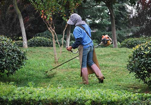 Jardineiro - Salário + Benefícios - Conhecimento em plantas no geral, ser pontual - Rio de Janeiro 