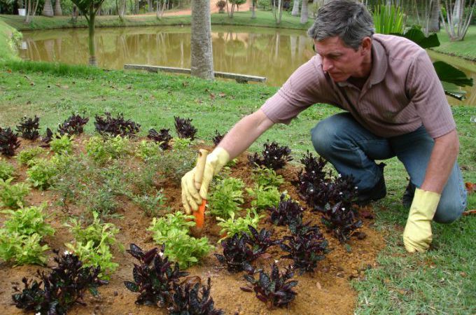 Auxiliar de Jardinagem - R$ 1.185,00 - Adubar e arar adequadamente as áreas - Rio de Janeiro 