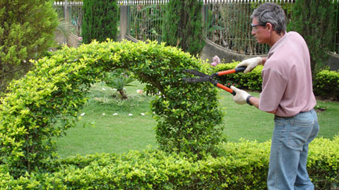 Jardineiro - Diária R$ 120,00 - Ornamentação e decoração de jardins, ser comprometido com o trabalho - Rio de Janeiro 