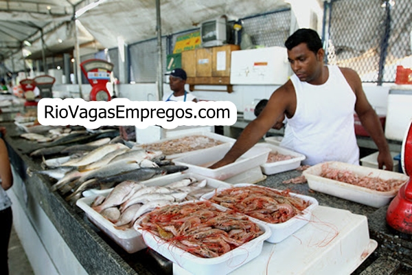 CONFERENTE, PEIXEIRO, OPERADOR DE CAIXA, AUXILIAR DE PRODUÇÃO - R$ 1.250,18 - ESCALA 6x1 - RIO DE JANEIRO 