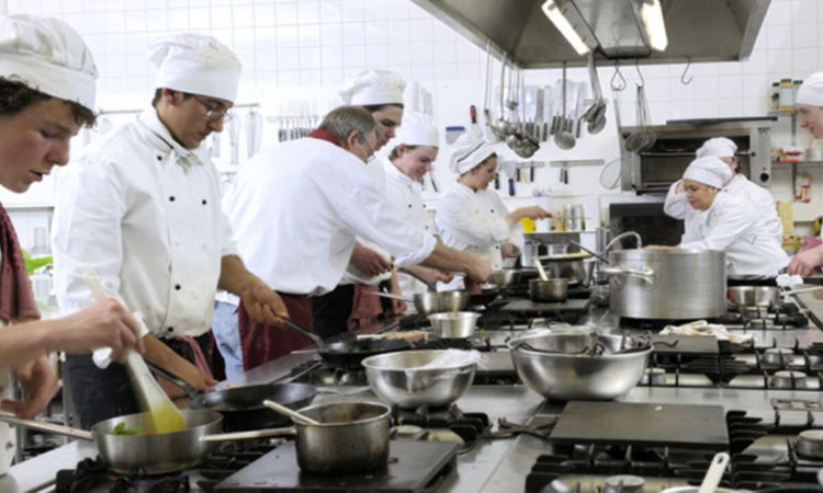 Cozinheiro, Operador de Dedetização - R$ 1.412,95 - Trabalhar em equipe, ter proatividade - Rio de Janeiro 