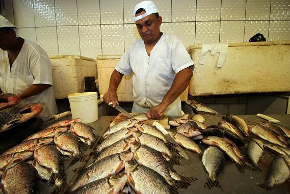 Peixeiro, Hostess - R$ 1.400,00 - Responsável pelo corte e limpeza dos pescados - Rio de Janeiro 