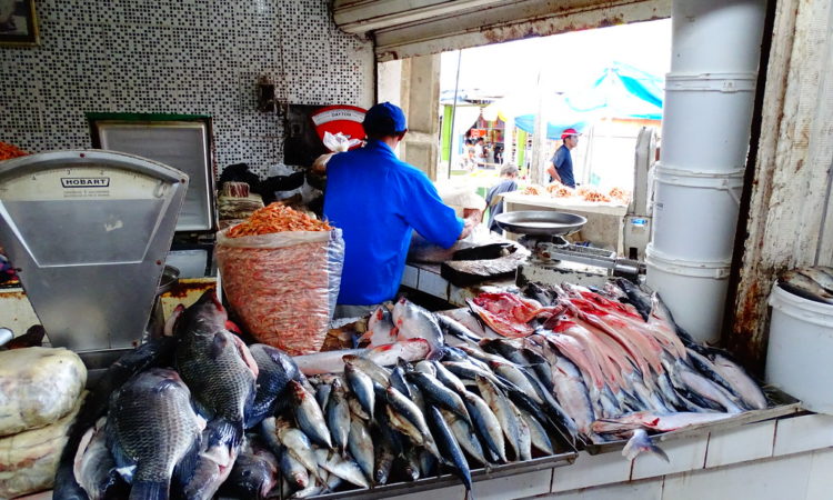 Gerente de Restaurante, Peixeiro - R$ 1.447,23 - Ter disponibilidade de horário, conhecimento em peixes diversos - Rio de Janeiro 