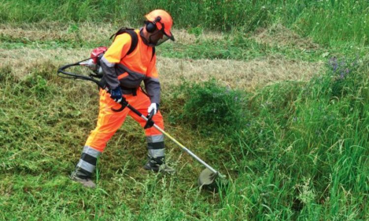 Lancheiro, Operador de Roçadeira - R$ 1.315,86 - Trabalhar em escalas, realizar o preparo de lanches - Rio de Janeiro 