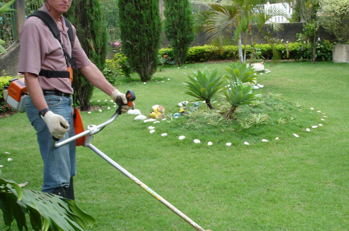 Auxiliar de Jardinagem, Instalador de Insulfilm - R$ 1.100,00 - Realizar manutenção de plantas, ser dinâmico - Rio de Janeiro 