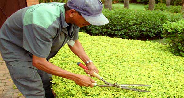 Auxiliar de Jardinagem, Doméstica - R$ 1.100,00 - Noções de paisagismo, ter bom relacionamento interpessoal - Rio de Janeiro 