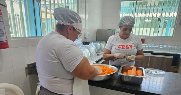 Merendeira escolar, auxiliar de turma, coordenadora pedagógica ...